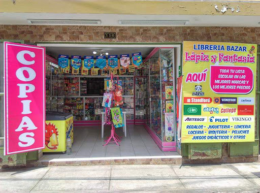Libreria Bazar Lápiz y Fantasia