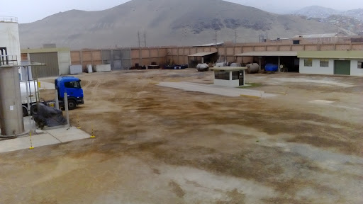 Universidad San Andres