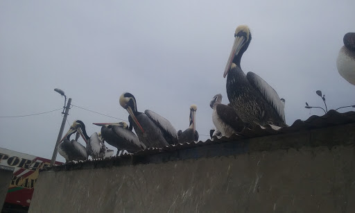Mercado de Artesanías