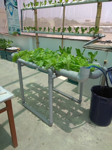 Guardería - Centro de Estimulación Temprana 