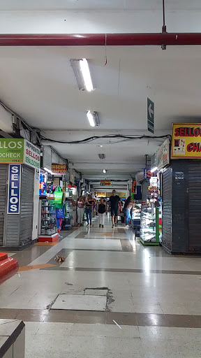 Gigantografia Galería Wilson