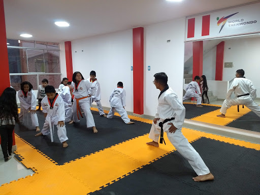 Academia de TAEKWONDO TEAM RAMÍREZ