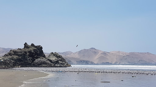 Centro Naval Playa Sur