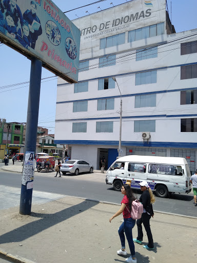 Centro de Idiomas César Vallejo