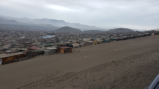 Los Huertos De La Planicie,
