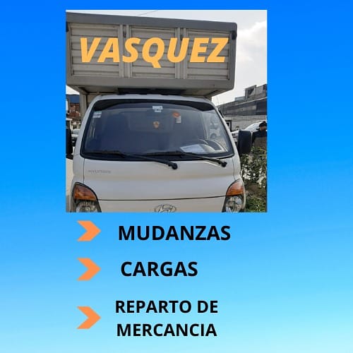 Transporte de carga y mudanzas Vasquez