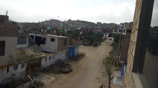 I.E.I 388 Villa Los Rosales Mz G3 Lt6