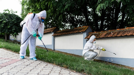 Econtrol Saneamiento Ambiental | Fumigaciones | Control de Plagas| Limpieza de Tanques | Exterminacion de Roedores