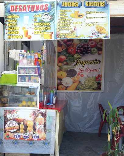 Jugueria LOS ROSALES snack