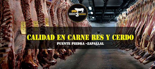 Carnes 3 Regiones