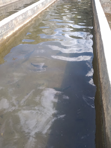 Peña Turística la choza