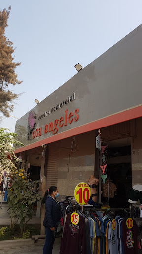 Dra. María Vera Vásquez, Hematólogo