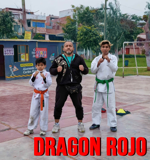 DRAGON ROJO ESCUELA DE ARTES MARCIALES