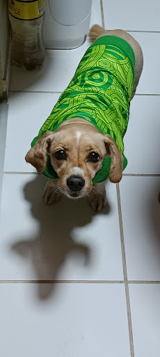 Clínica Veterinaria ENMAVET