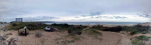 Playa San Francisco Chico