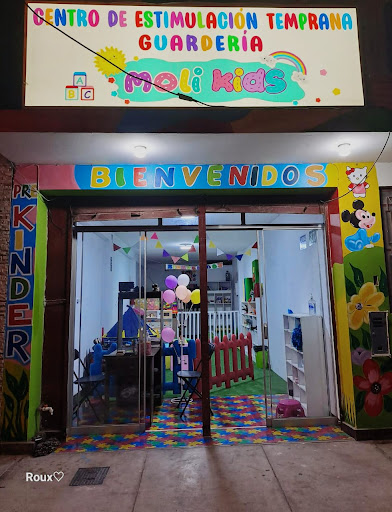 Centro De Estimulación Temprana MOLIKIDS