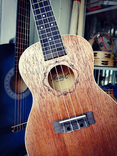 Casa Musical Monkey Music