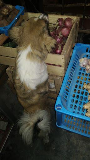 bienvenidos al comercial 