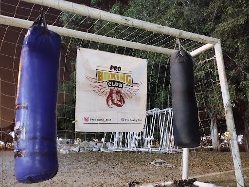 Pro Boxing Club