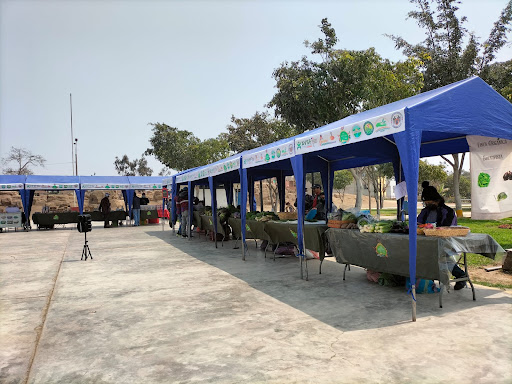 Feria Agroecológica del Valle Chillón
